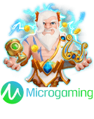 microgaming MAGOSPIN